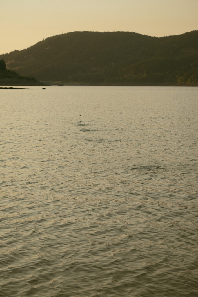 skipping a rock at lookout lake 